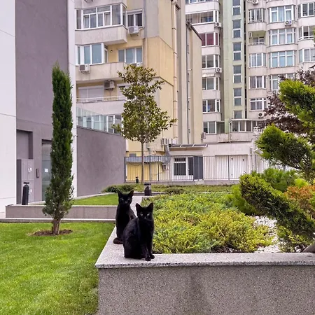 Gravity Варна
